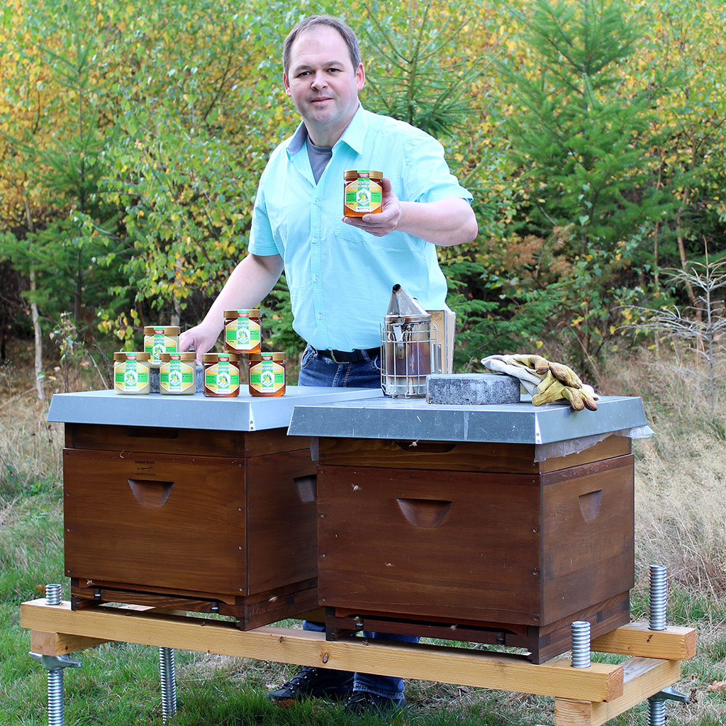 Präsentation von Honig