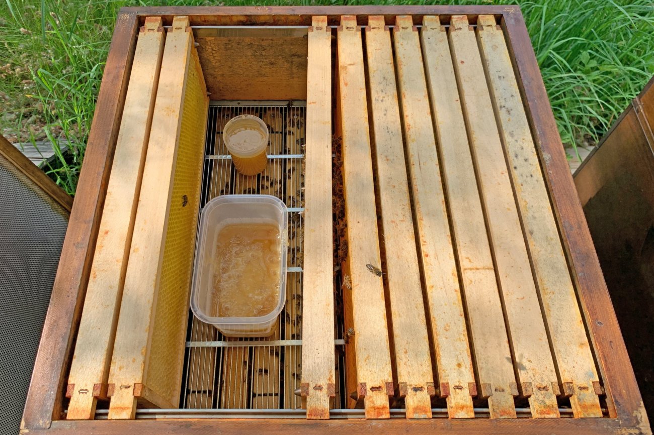 Fütterung mit Honig