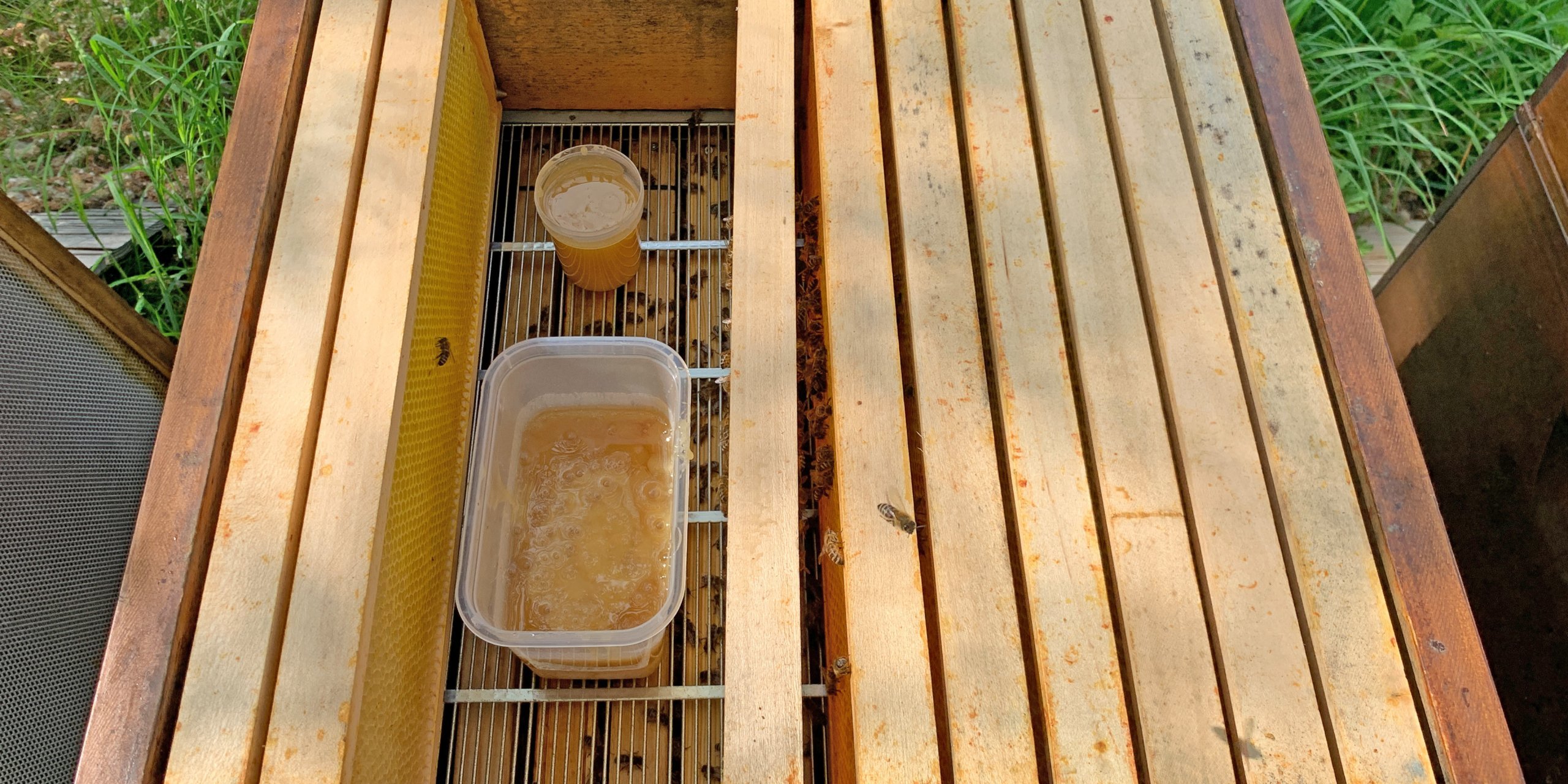 Fütterung mit Honig