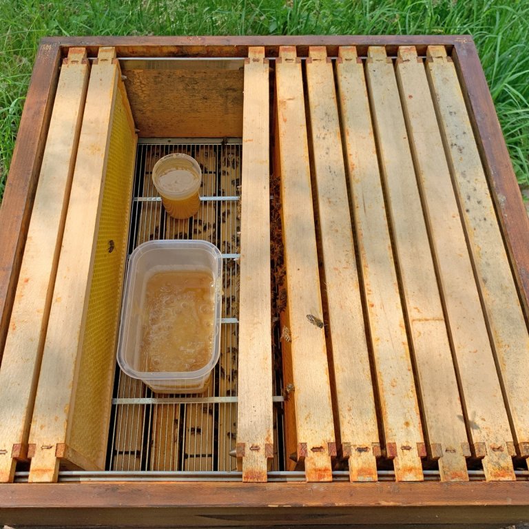 Fütterung mit Honig